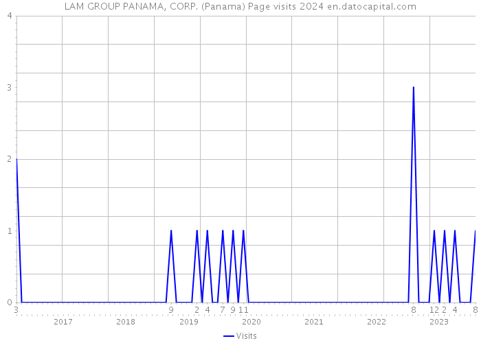 LAM GROUP PANAMA, CORP. (Panama) Page visits 2024 