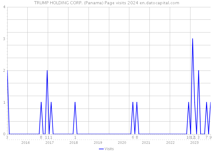 TRUMP HOLDING CORP. (Panama) Page visits 2024 