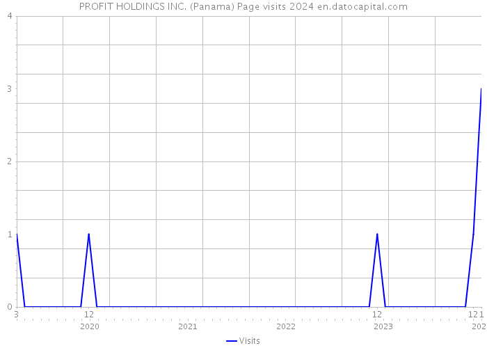 PROFIT HOLDINGS INC. (Panama) Page visits 2024 