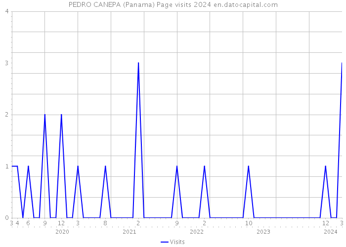PEDRO CANEPA (Panama) Page visits 2024 