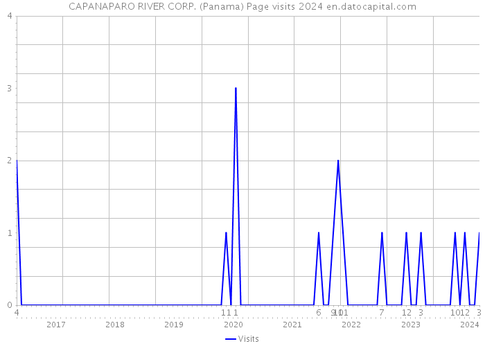 CAPANAPARO RIVER CORP. (Panama) Page visits 2024 
