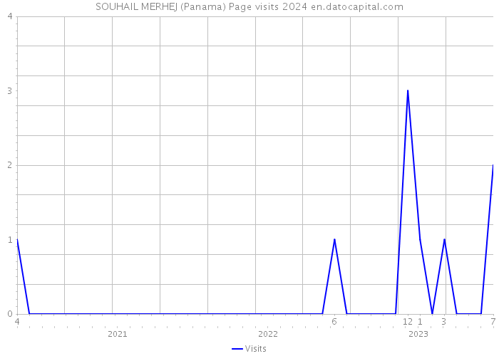 SOUHAIL MERHEJ (Panama) Page visits 2024 