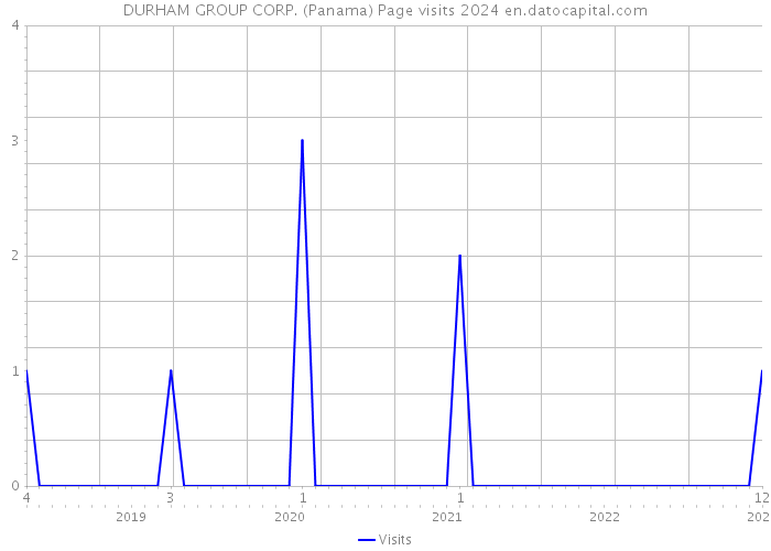 DURHAM GROUP CORP. (Panama) Page visits 2024 