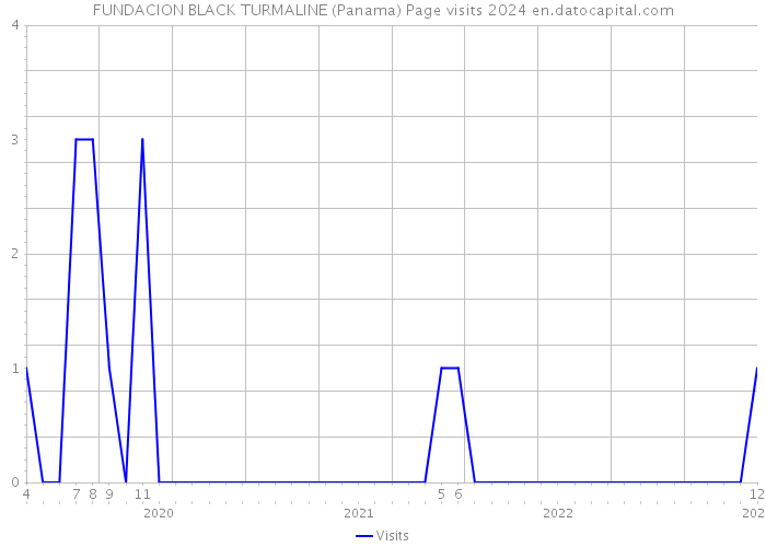 FUNDACION BLACK TURMALINE (Panama) Page visits 2024 