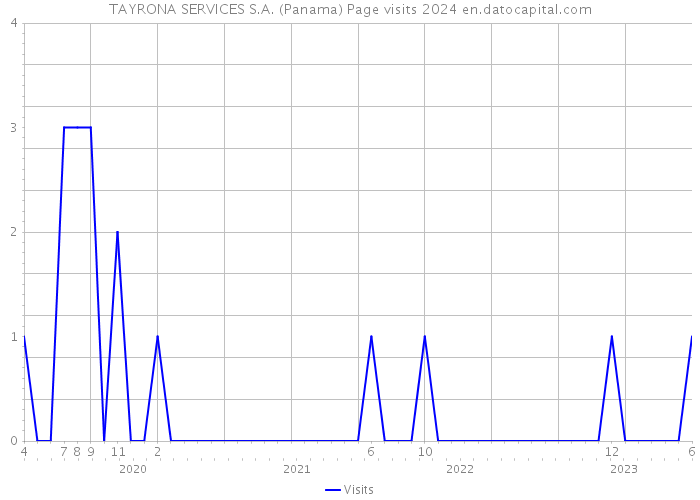 TAYRONA SERVICES S.A. (Panama) Page visits 2024 