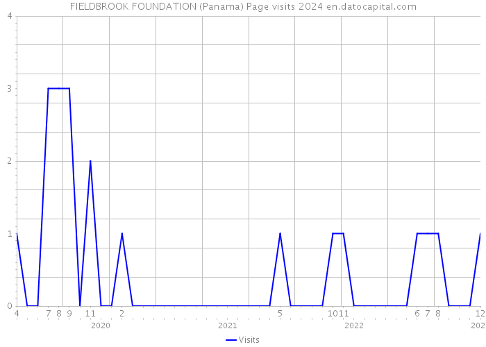 FIELDBROOK FOUNDATION (Panama) Page visits 2024 