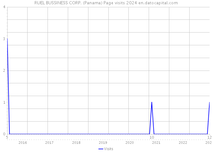 RUEL BUSSINESS CORP. (Panama) Page visits 2024 