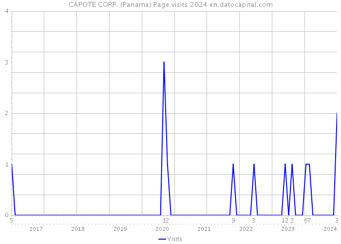 CAPOTE CORP. (Panama) Page visits 2024 