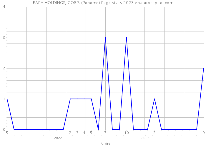 BAPA HOLDINGS, CORP. (Panama) Page visits 2023 