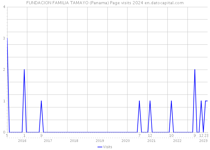 FUNDACION FAMILIA TAMAYO (Panama) Page visits 2024 