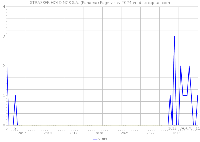 STRASSER HOLDINGS S.A. (Panama) Page visits 2024 