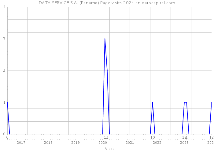 DATA SERVICE S.A. (Panama) Page visits 2024 