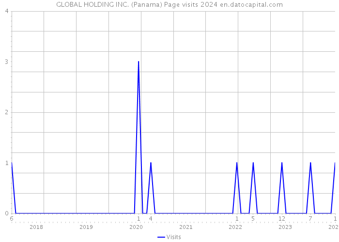 GLOBAL HOLDING INC. (Panama) Page visits 2024 