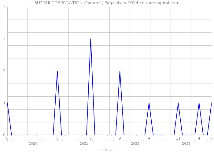 BUSONI CORPORATION (Panama) Page visits 2024 