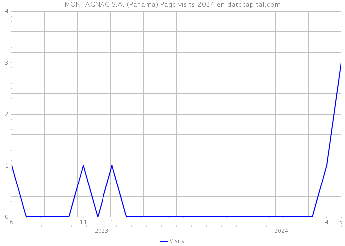 MONTAGNAC S.A. (Panama) Page visits 2024 