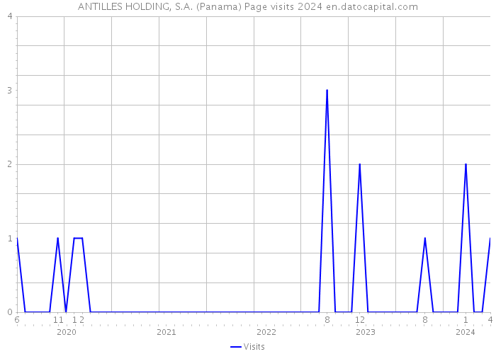 ANTILLES HOLDING, S.A. (Panama) Page visits 2024 
