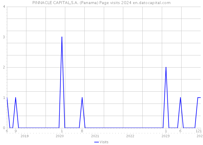 PINNACLE CAPITAL,S.A. (Panama) Page visits 2024 
