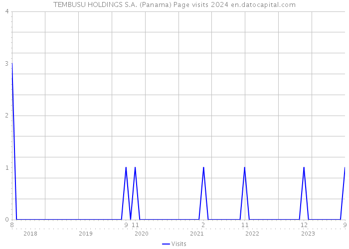 TEMBUSU HOLDINGS S.A. (Panama) Page visits 2024 