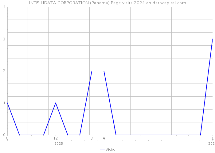 INTELLIDATA CORPORATION (Panama) Page visits 2024 