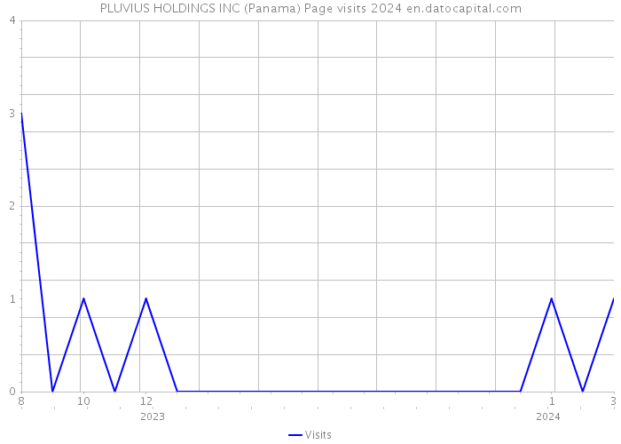 PLUVIUS HOLDINGS INC (Panama) Page visits 2024 
