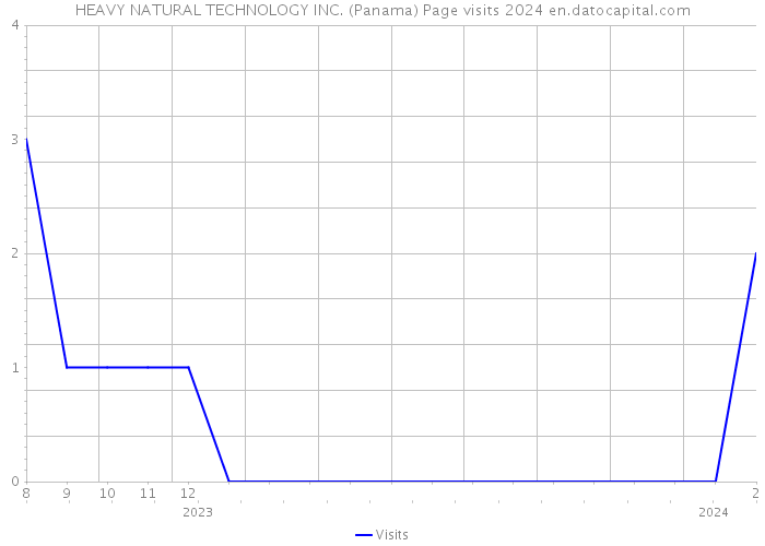 HEAVY NATURAL TECHNOLOGY INC. (Panama) Page visits 2024 