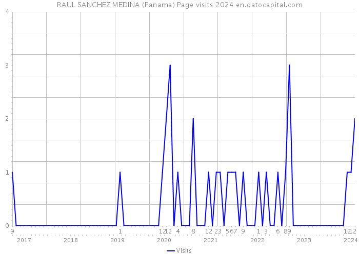 RAUL SANCHEZ MEDINA (Panama) Page visits 2024 