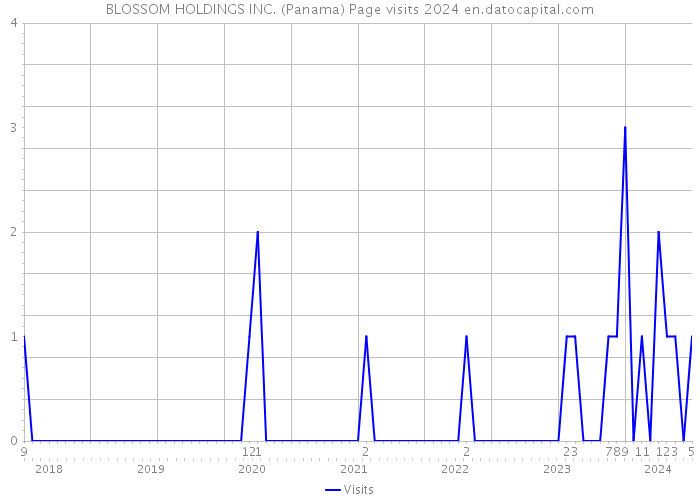 BLOSSOM HOLDINGS INC. (Panama) Page visits 2024 