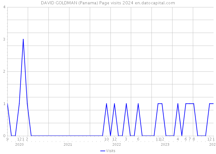 DAVID GOLDMAN (Panama) Page visits 2024 