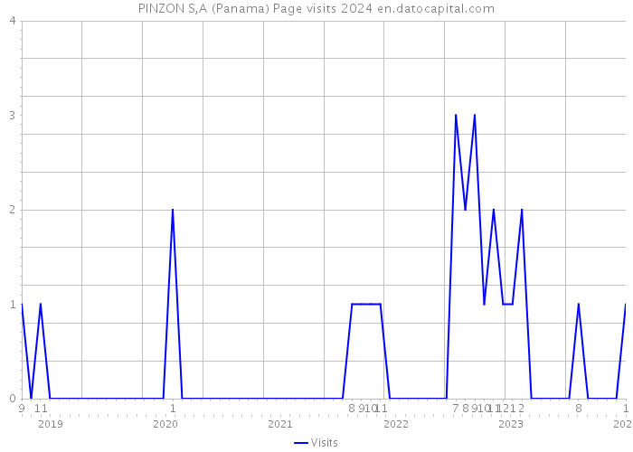 PINZON S,A (Panama) Page visits 2024 