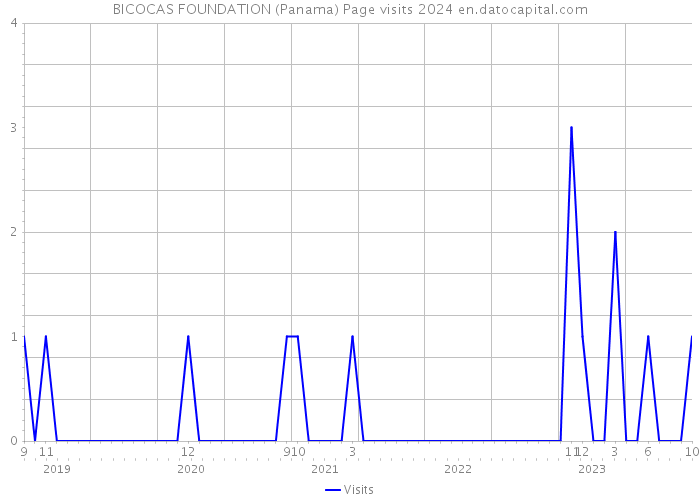 BICOCAS FOUNDATION (Panama) Page visits 2024 