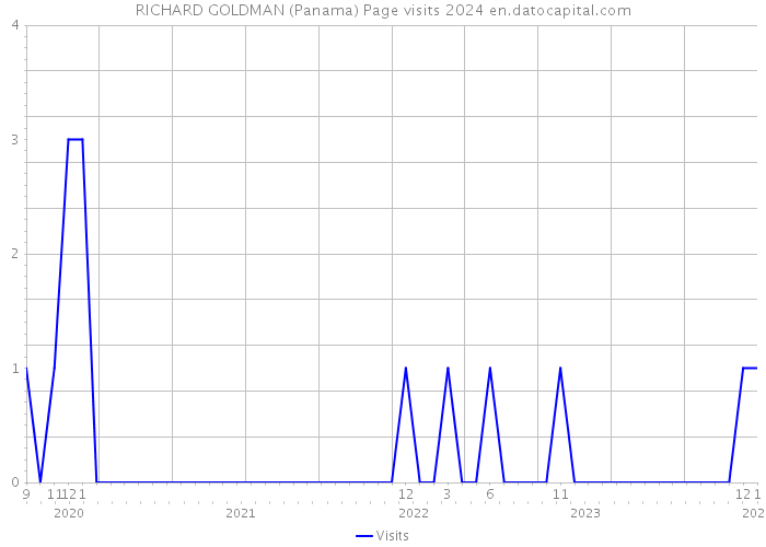 RICHARD GOLDMAN (Panama) Page visits 2024 