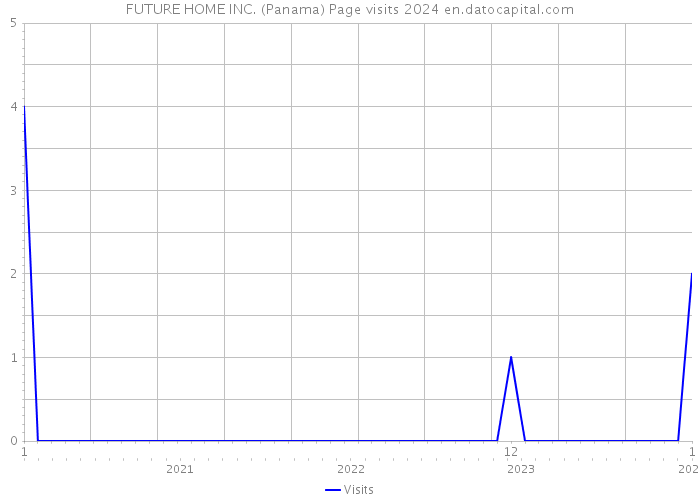 FUTURE HOME INC. (Panama) Page visits 2024 