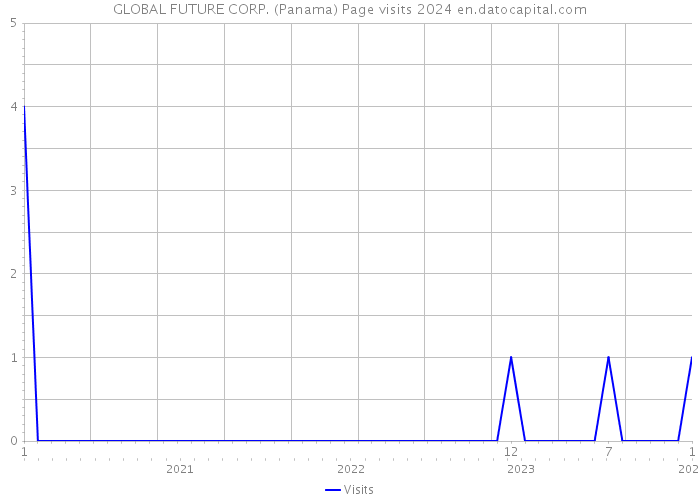GLOBAL FUTURE CORP. (Panama) Page visits 2024 