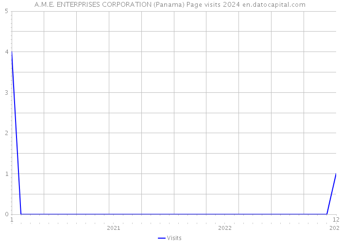 A.M.E. ENTERPRISES CORPORATION (Panama) Page visits 2024 