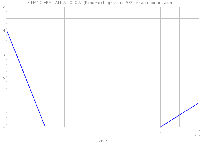 FINANCIERA TANTALIO, S.A. (Panama) Page visits 2024 