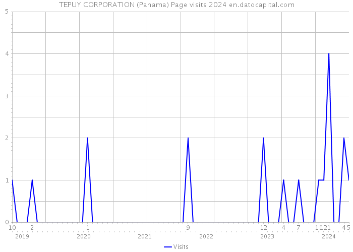 TEPUY CORPORATION (Panama) Page visits 2024 