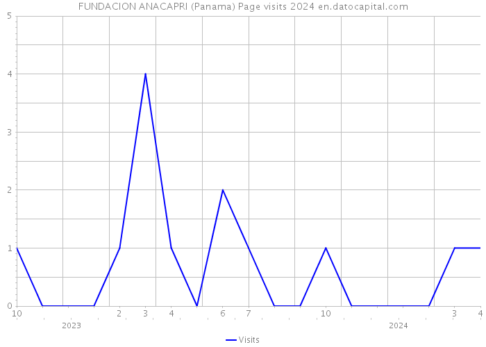 FUNDACION ANACAPRI (Panama) Page visits 2024 