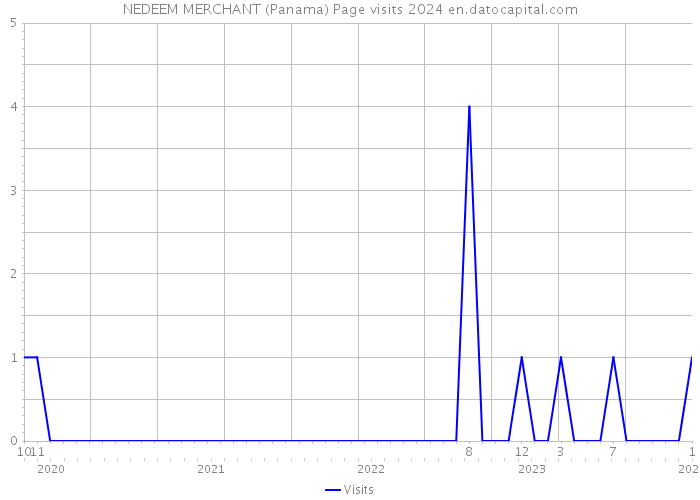 NEDEEM MERCHANT (Panama) Page visits 2024 