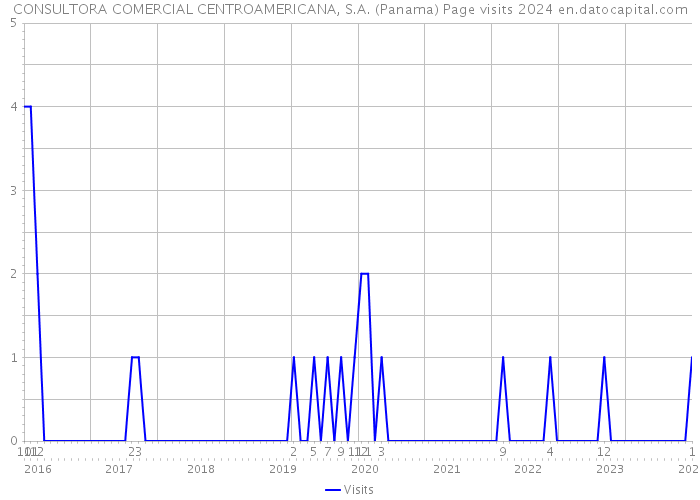 CONSULTORA COMERCIAL CENTROAMERICANA, S.A. (Panama) Page visits 2024 