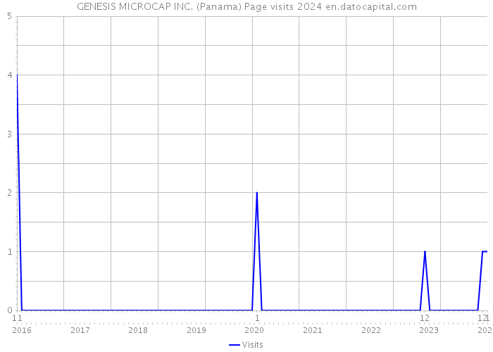 GENESIS MICROCAP INC. (Panama) Page visits 2024 