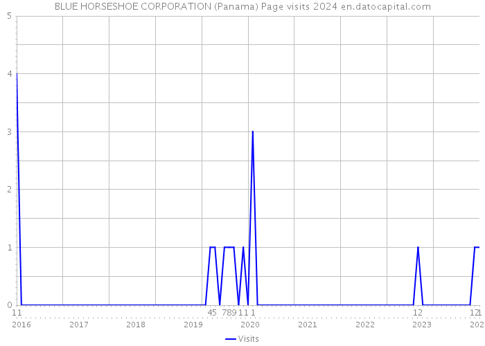 BLUE HORSESHOE CORPORATION (Panama) Page visits 2024 