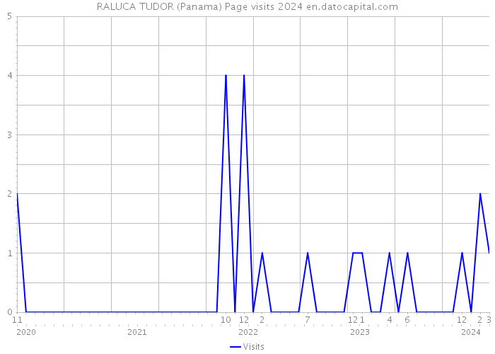 RALUCA TUDOR (Panama) Page visits 2024 