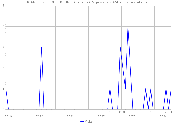 PELICAN POINT HOLDINGS INC. (Panama) Page visits 2024 