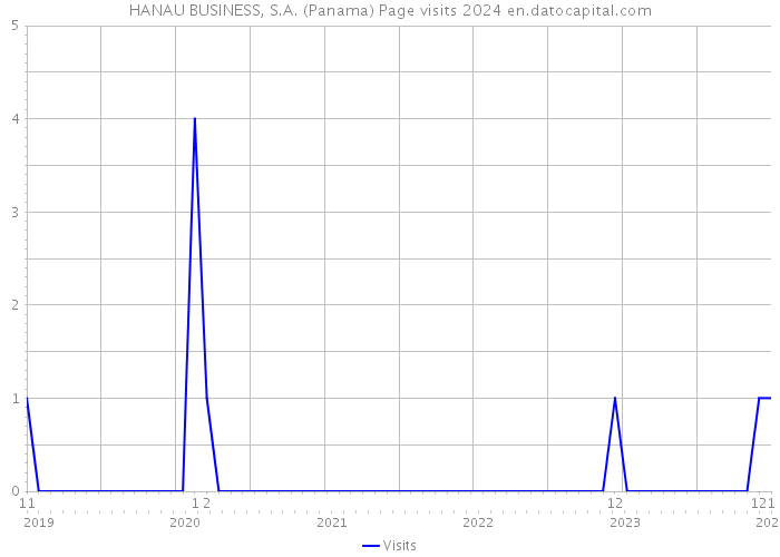 HANAU BUSINESS, S.A. (Panama) Page visits 2024 