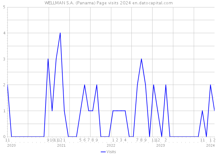 WELLMAN S.A. (Panama) Page visits 2024 