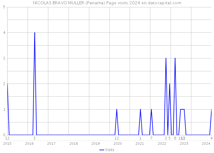 NICOLAS BRAVO MULLER (Panama) Page visits 2024 