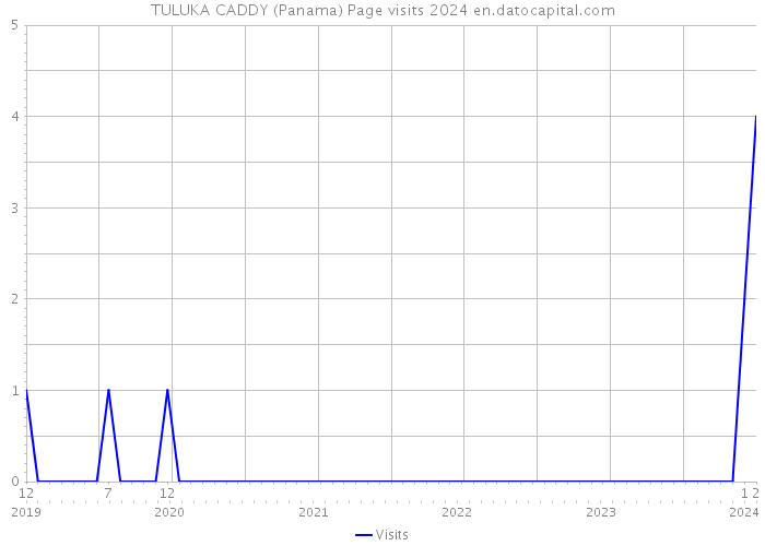 TULUKA CADDY (Panama) Page visits 2024 