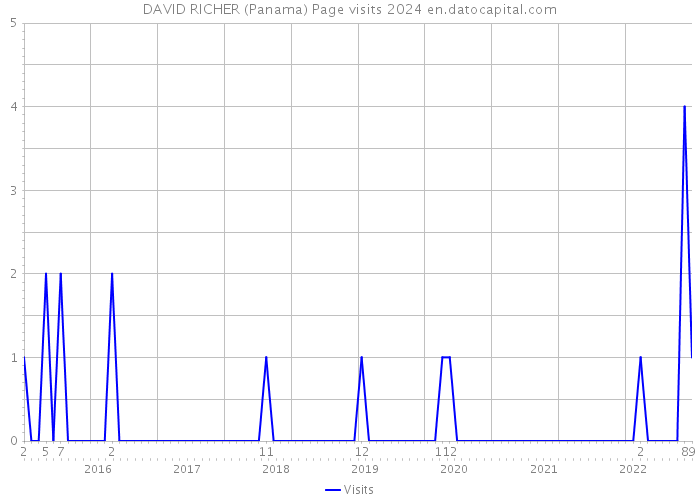 DAVID RICHER (Panama) Page visits 2024 