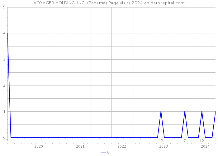 VOYAGER HOLDING, INC. (Panama) Page visits 2024 