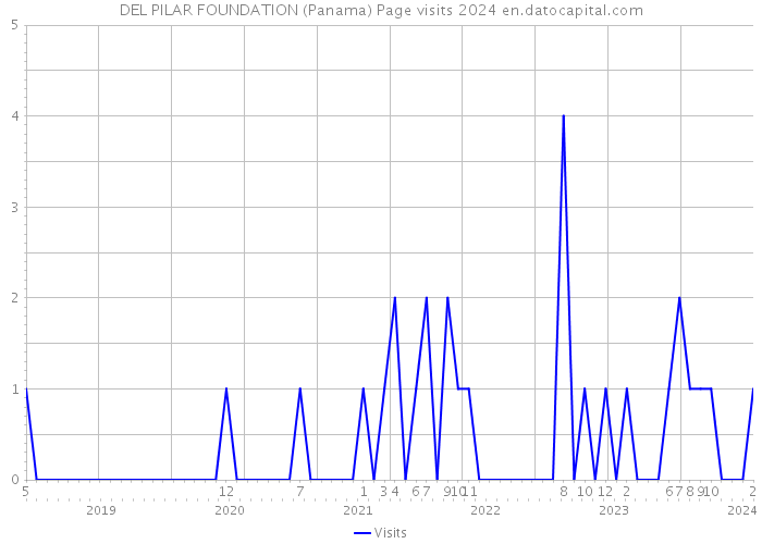 DEL PILAR FOUNDATION (Panama) Page visits 2024 